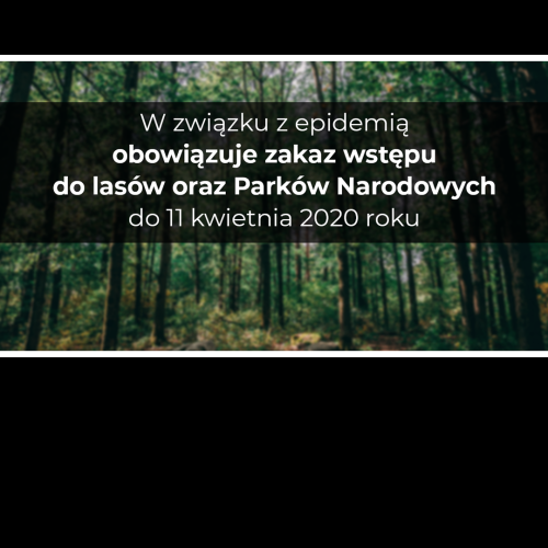 Zakaz wstępu do Lasów Państwowych